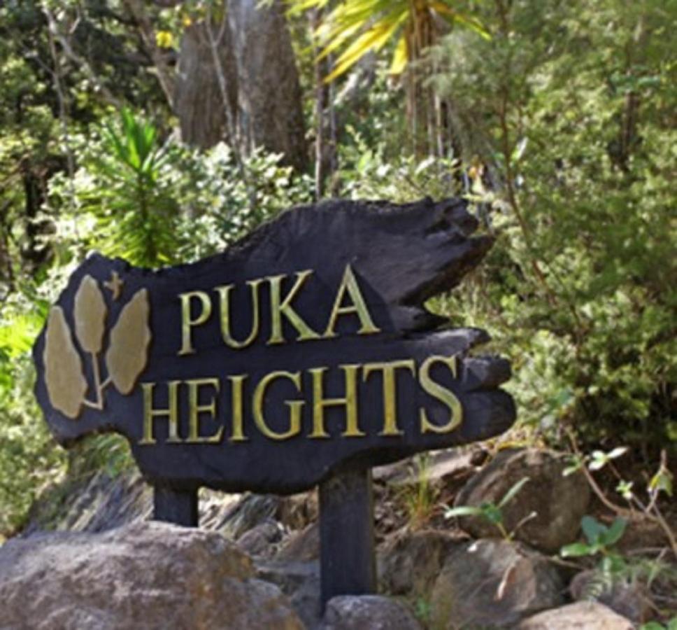 Bed and Breakfast Puka Heights Pauanui Esterno foto